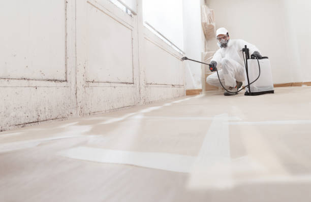 24/7 Emergency Black Mold Remediation experts in Bowie, TX