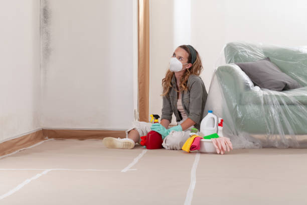 Reliable Black Mold Remediation contractor in Bowie, TX by Car Mold Remediation